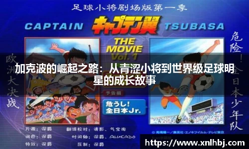 完美体育官网