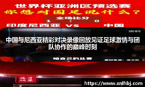 完美体育官网